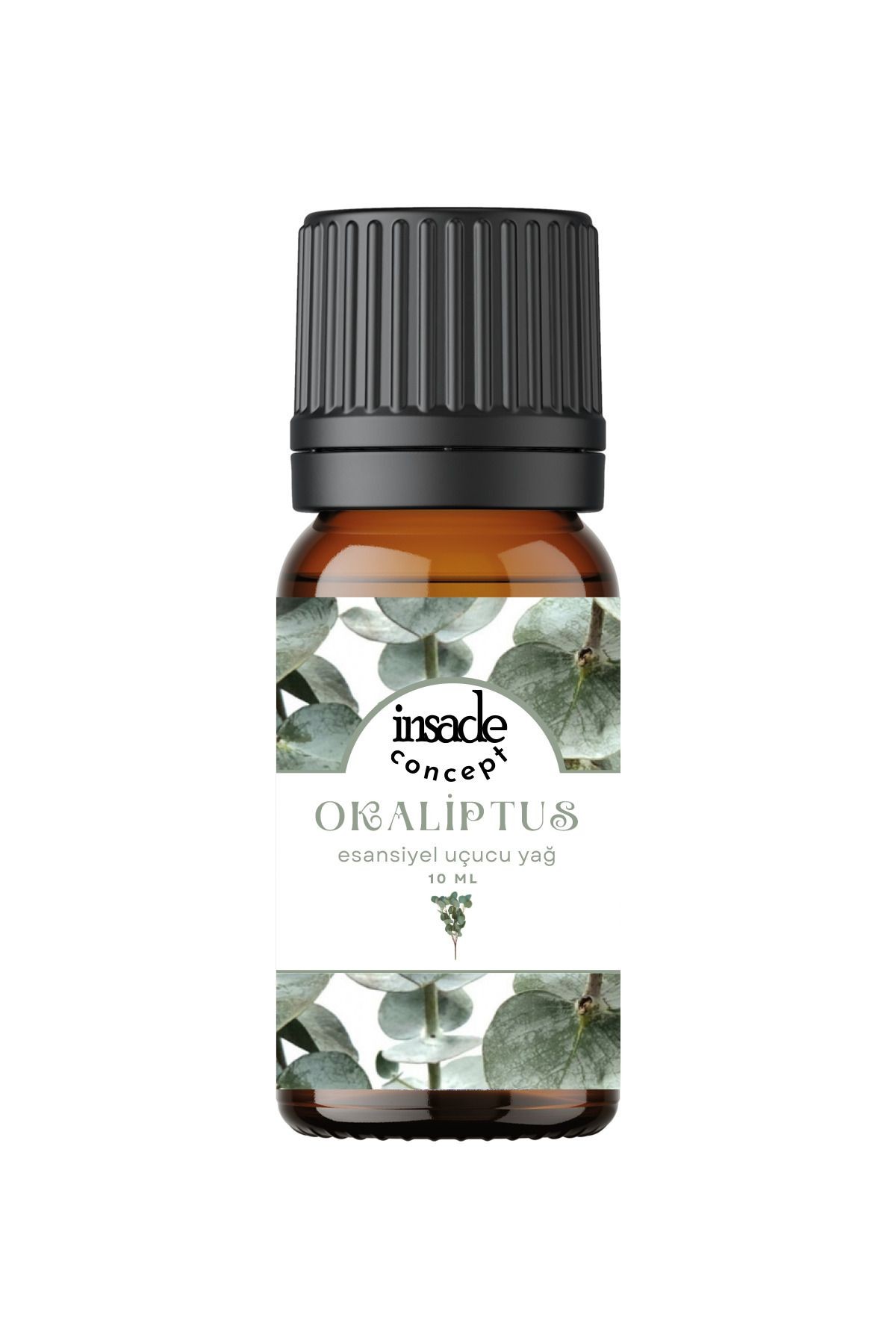 Okaliptus - Esansiyel Uçucu Yağ - Oda Kokusu - Çamaşır Yün Kurutma Topu Kokusu - 10 ml - 1 Adet Okaliptus - Esansiyel Uçucu Yağ - Oda Kokusu - Çamaşır Yün Kurutma Topu Kokusu - 10 ml - 1 Adet